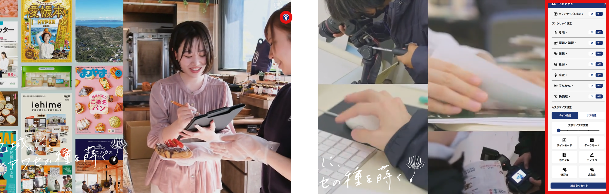 実際のサイトの写真