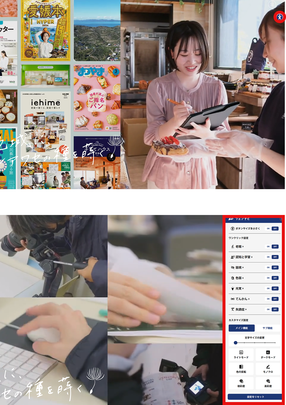 実際のサイトの写真